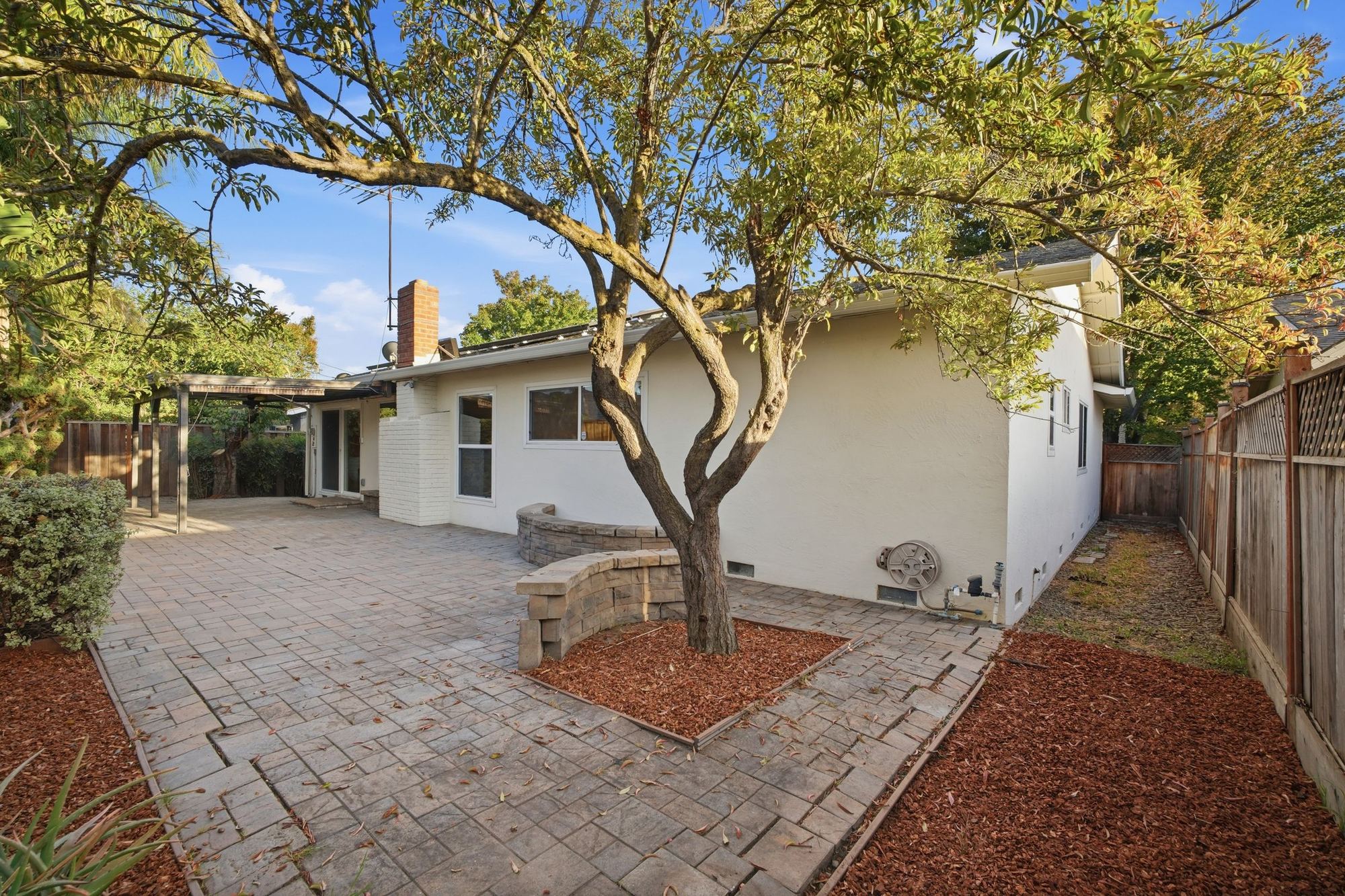 Backyard patio and shade tree